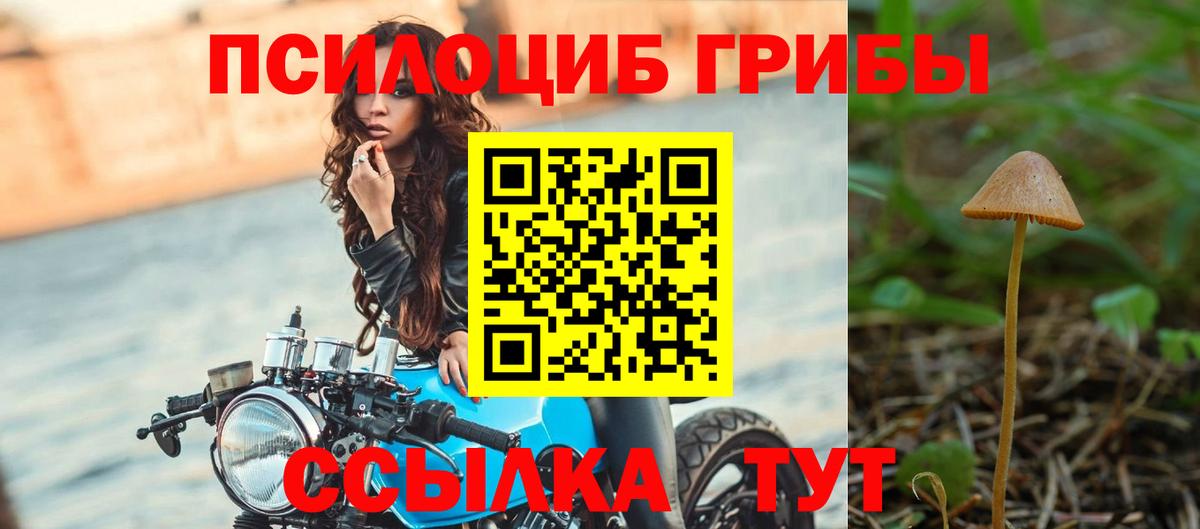 Псилоцибиновые грибы GOLDEN TEACHER  Вход с VPN  Ачинск 